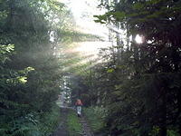 PICT0001.JPG
