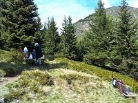 IMG_0790.jpg