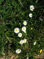 IMG_0582.jpg