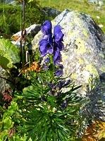 IMG_0753.jpg