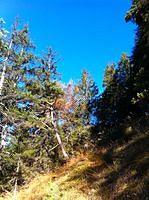 IMG_0856.jpg