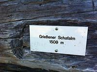 IMG_0863.jpg