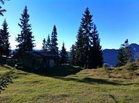 IMG_0866.jpg