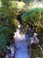 IMG_0885.jpg