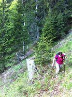 IMG_1140.jpg