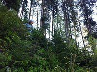 IMG_1146.JPG