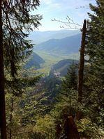 IMG_1161.jpg