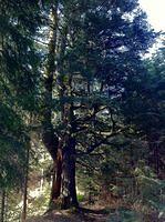 IMG_1171.jpg