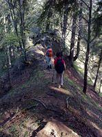 IMG_1179.jpg