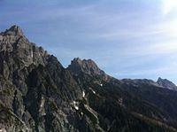 IMG_1184.JPG