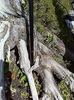 IMG_1189.jpg