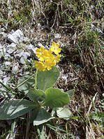 IMG_1197.jpg