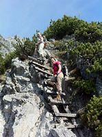 IMG_1207.jpg