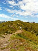 IMG_1292.jpg
