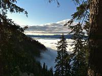 IMG_1565.JPG
