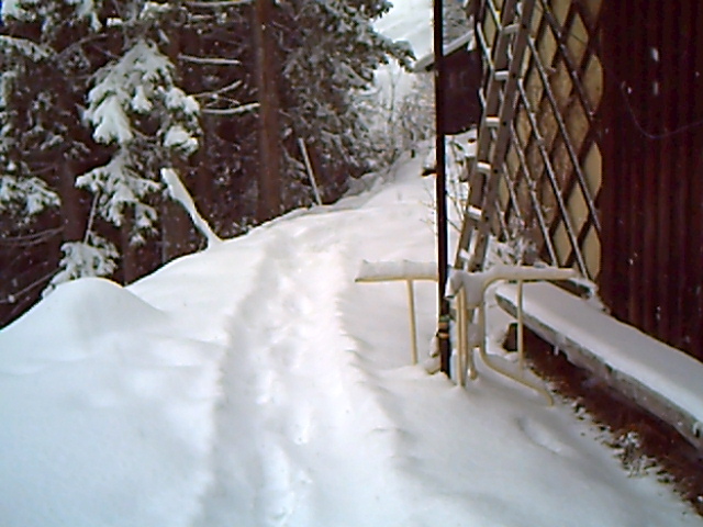 PICT0023.JPG