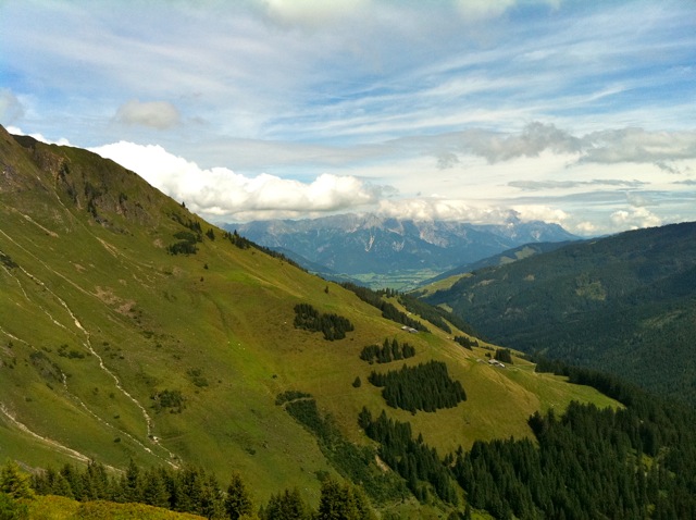 IMG_0791.jpg