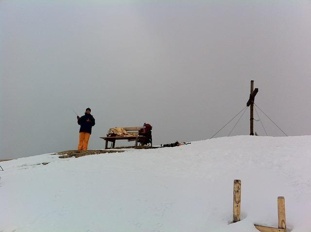 Wolf on 3rd summit