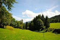300_3183.jpg