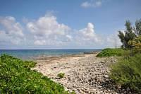 rocky beach