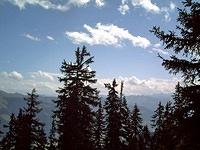 PICT0024.jpg