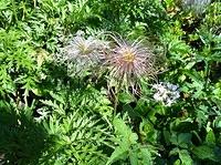 IMG_0627.jpg