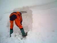 PICT0001.JPG