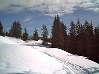 PICT0005.JPG