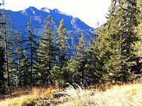 IMG_0857.jpg