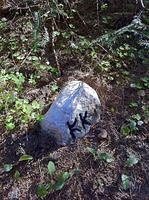 IMG_1159.jpg
