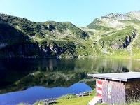 Wildseeloder, Henne, Lärchfilzkogel 27.07.2012